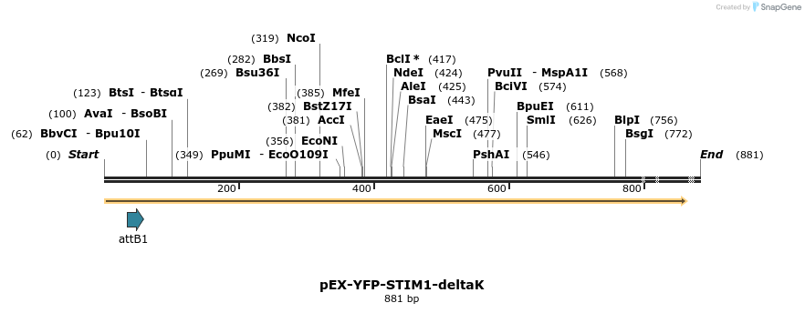 24867_map