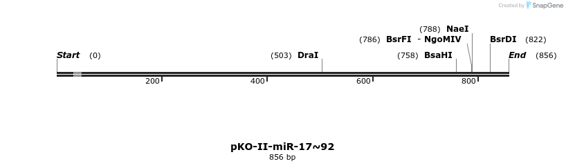 24868_map