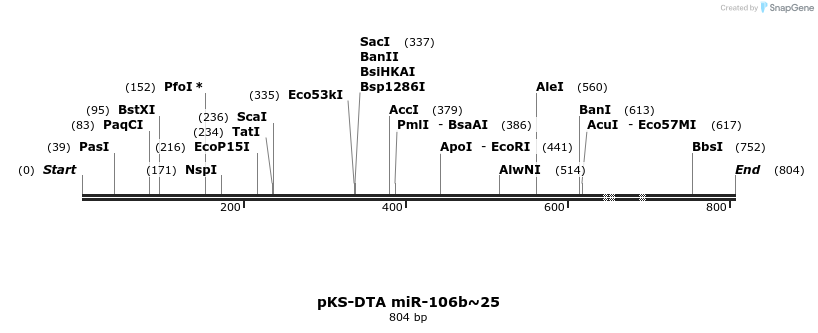 24870_map