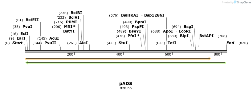 24874_map