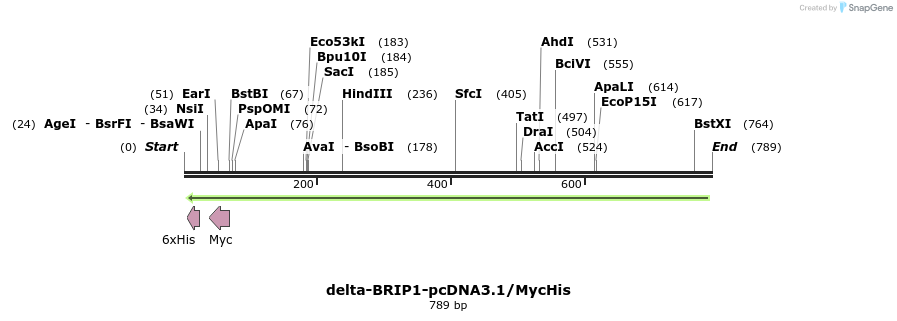 24876_map