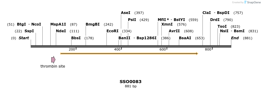 24877_map