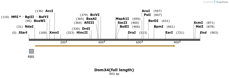 24878_map