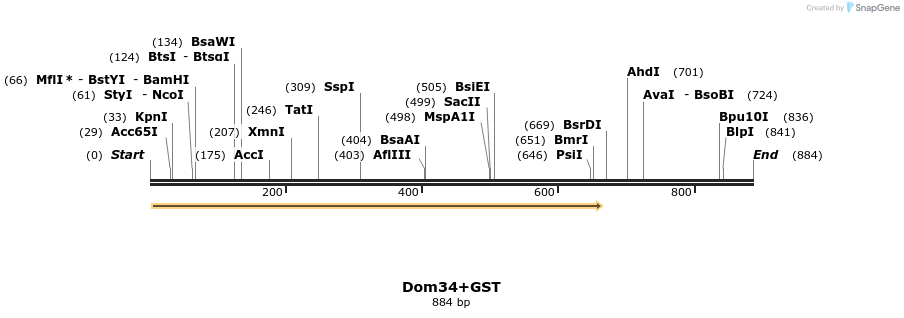 24880_map