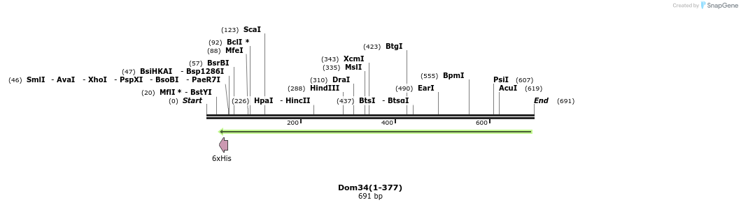 24881_map