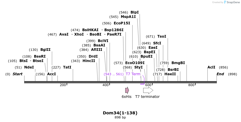24882_map