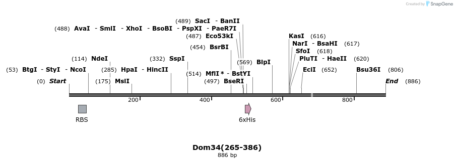 24883_map