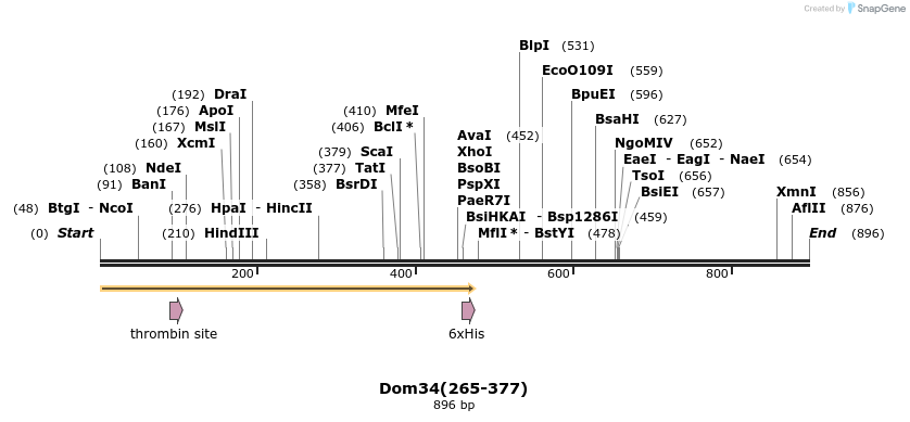 24884_map