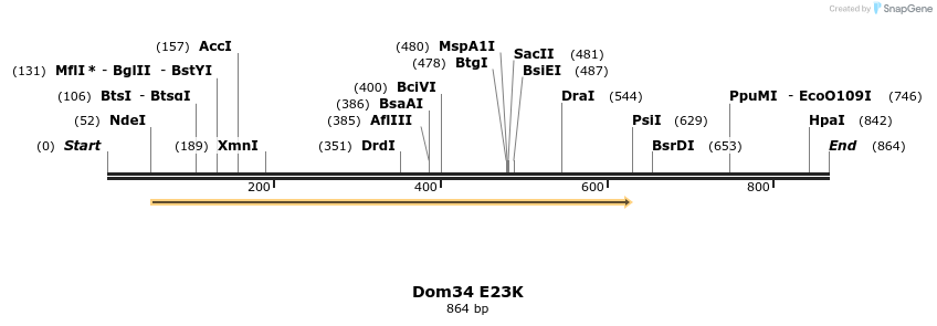 24885_map