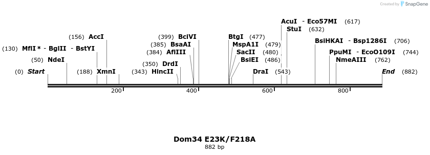 24886_map