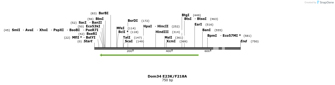 24887_map