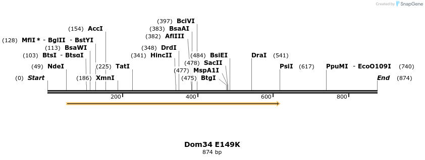 24888_map