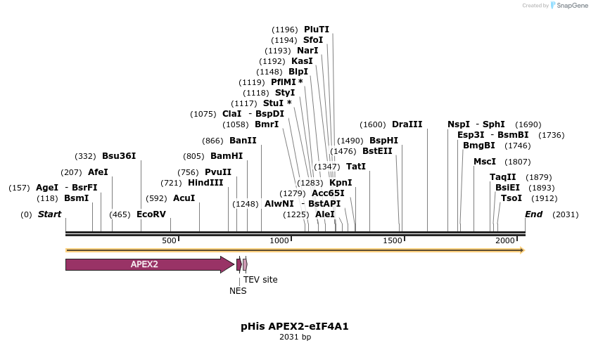 248882_map
