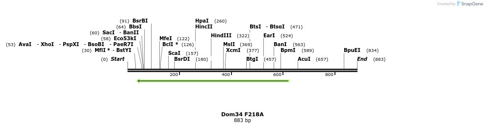 24889_map