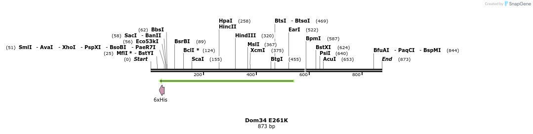 24890_map