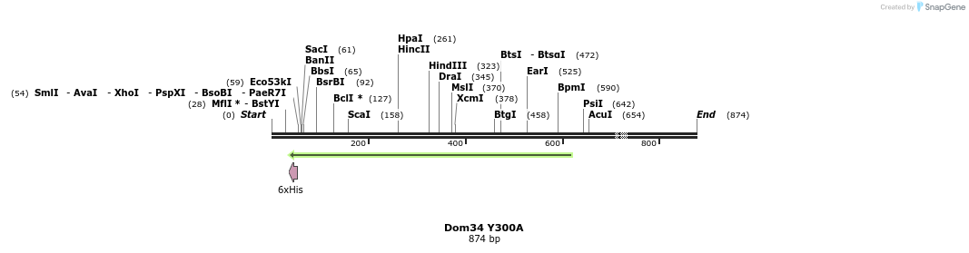 24891_map