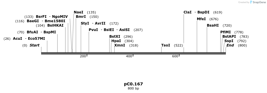 248911_map