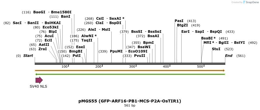 248918_map