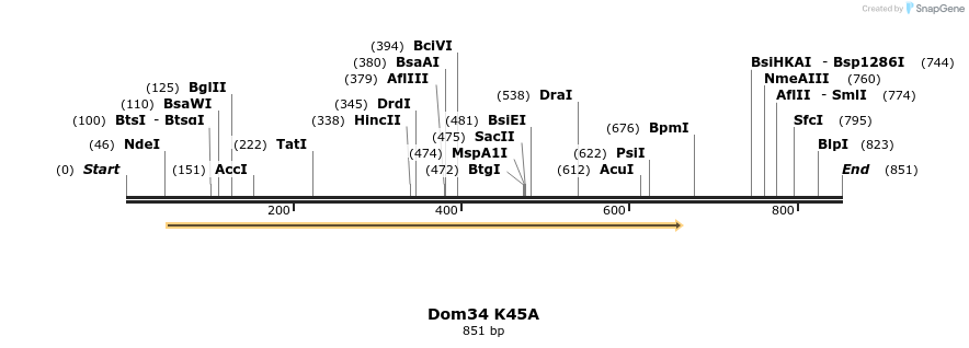 24892_map