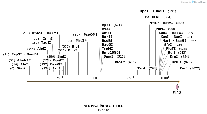 248923_map
