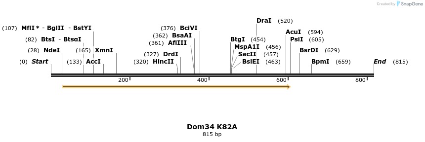 24893_map