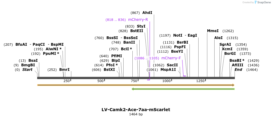 248966_map