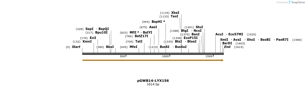 248984_map