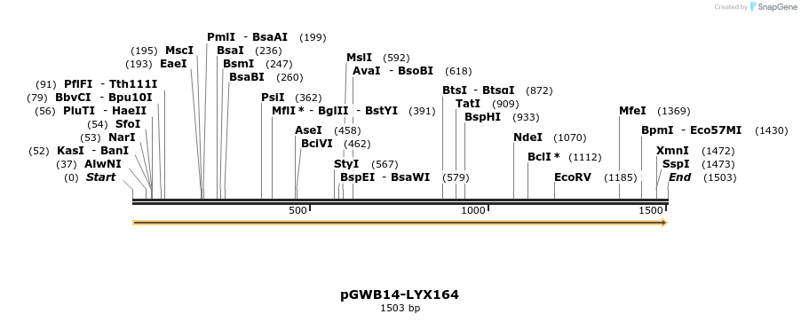 248985_map