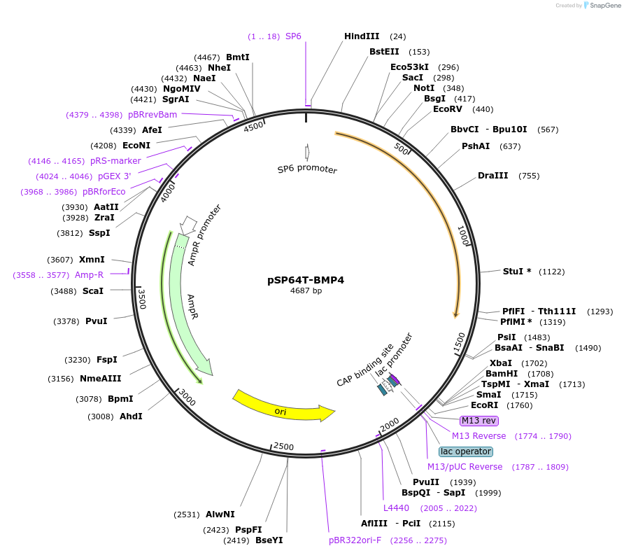 248990_map