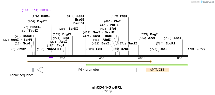 24902_map
