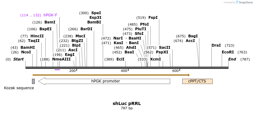 24903_map
