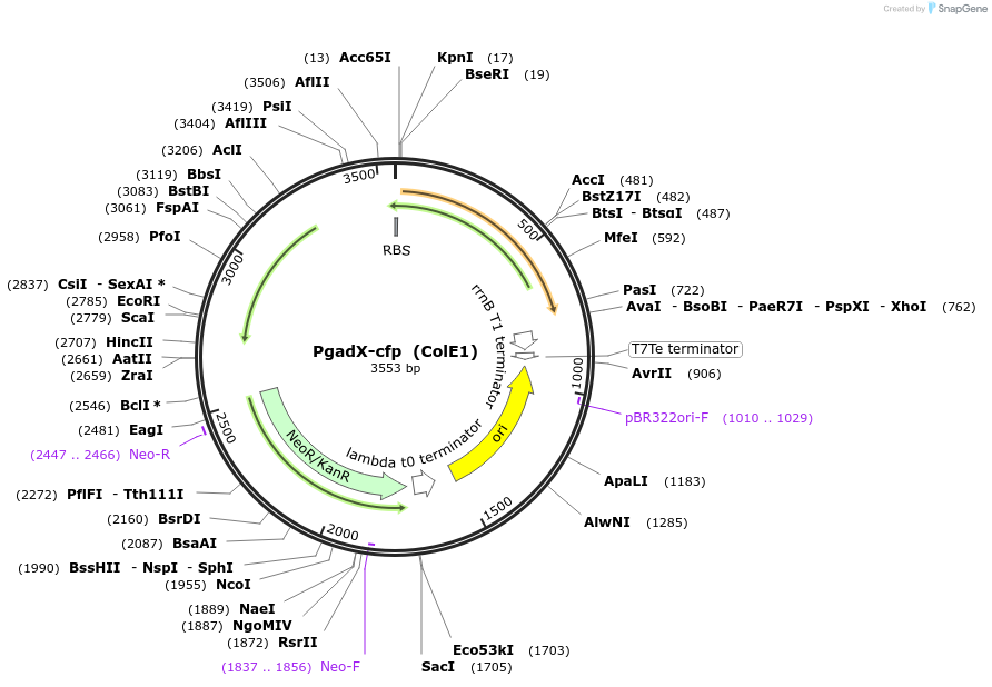 249060_map