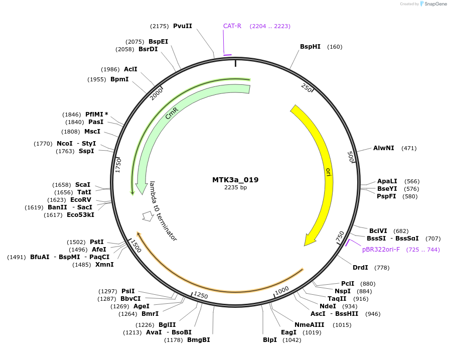 249061_map