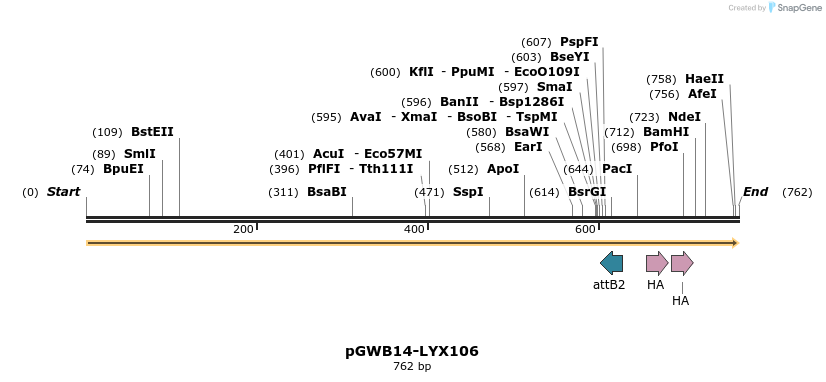 249078_map