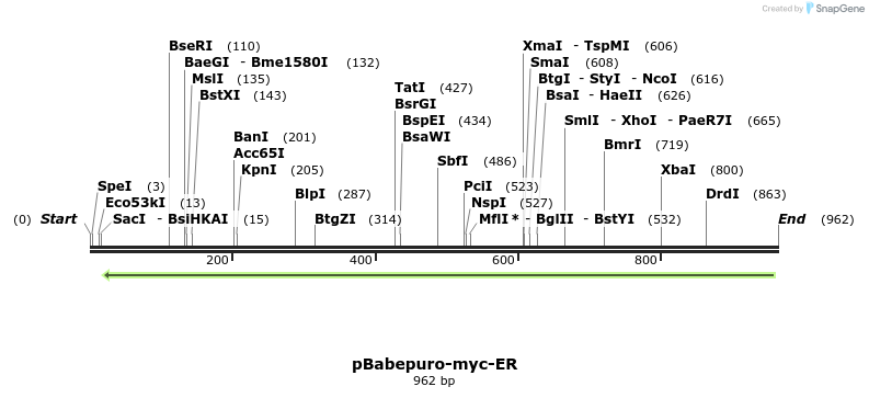 24909_map