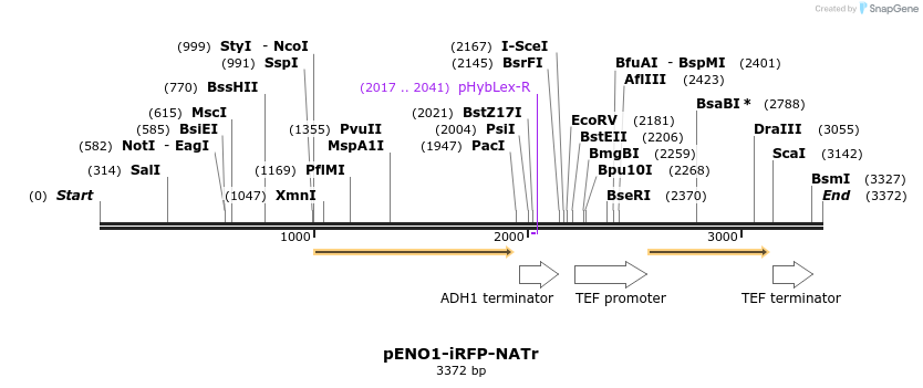 249104_map