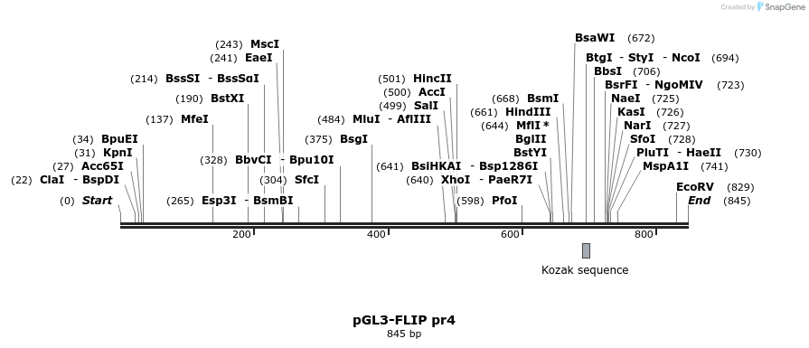 24911_map