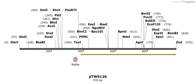 249113_map