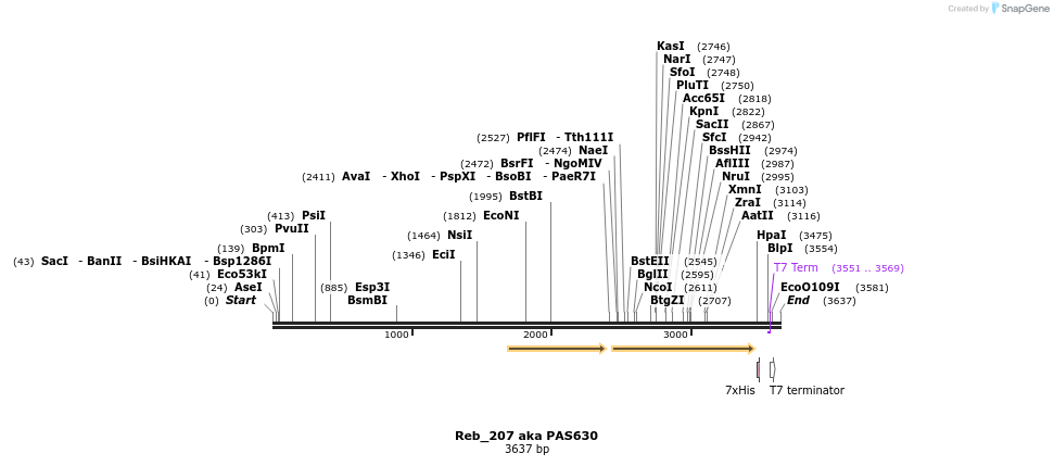 249122_map