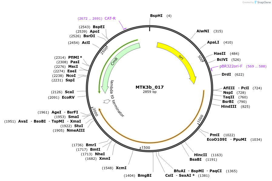 249154_map