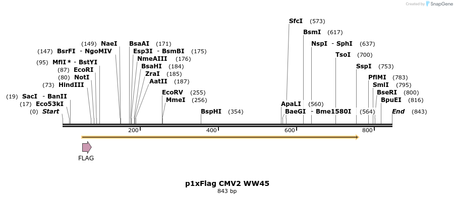 24916_map
