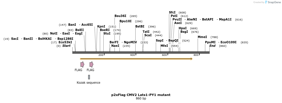 24918_map
