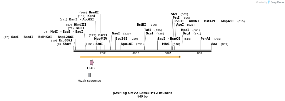24919_map