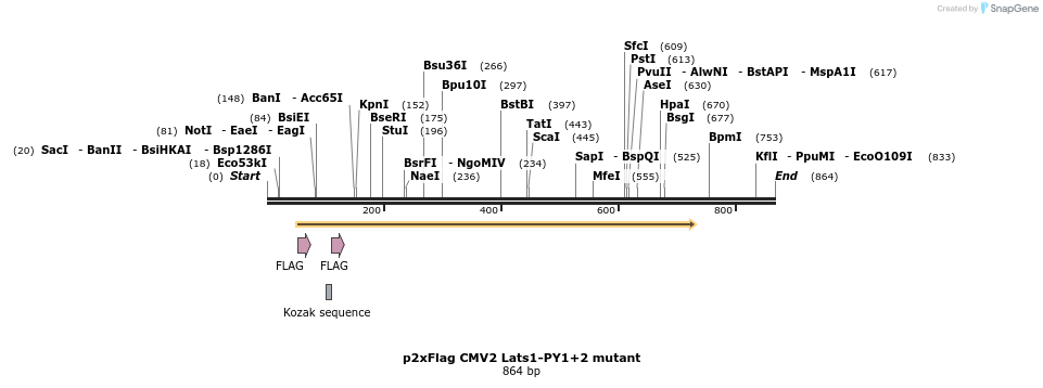 24920_map