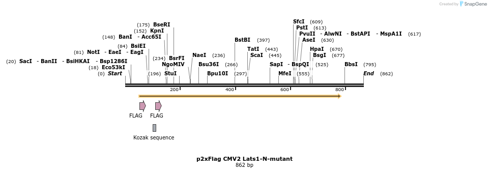 24921_map