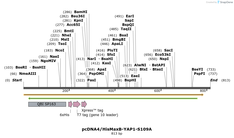 24925_map