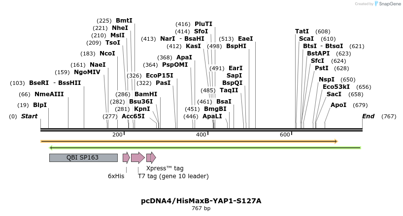 24926_map