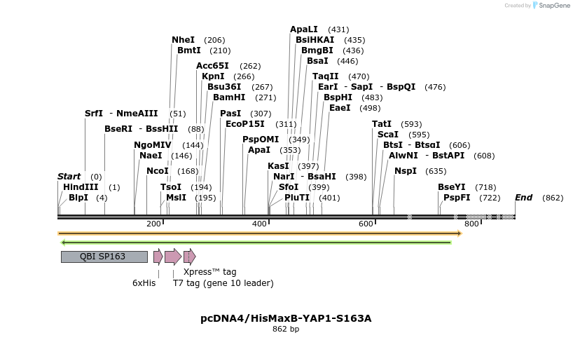 24927_map