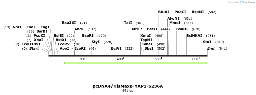 24929_map