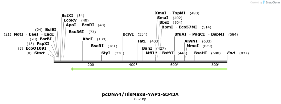 24930_map